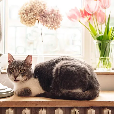 فندق مبيت وإفطار La Cantellerie