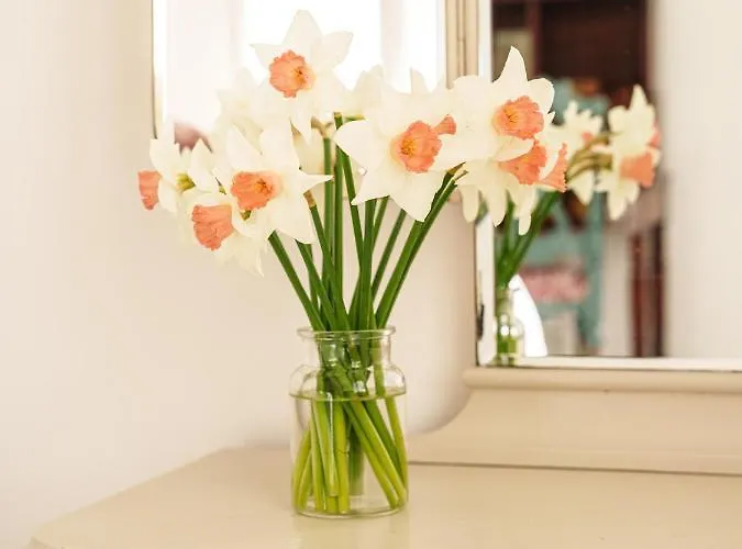 La Cantellerie Bed & Breakfast Courseulles-sur-Mer